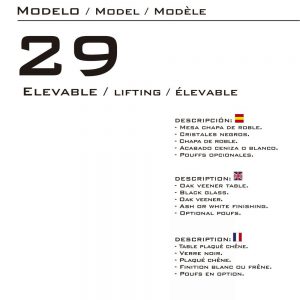MODELO 29