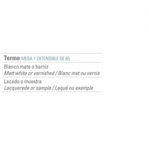 Termé Mesa 1 Ext de 65