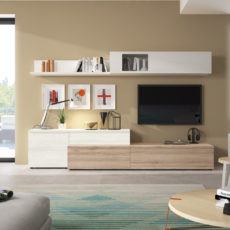 salon-2 (18) salon-2 (18)