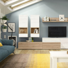 salon-2 (25) salon-2 (25)