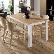 salon-2 (42) salon-2 (42)